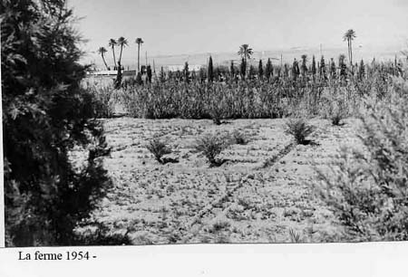 La ferme en 1954