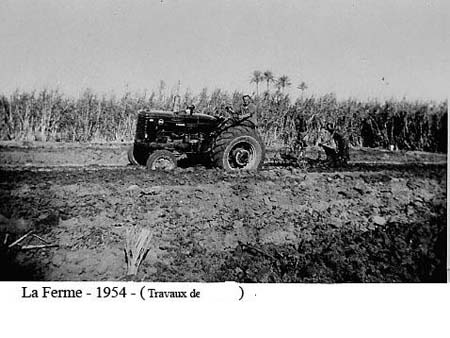 La ferme en 1954