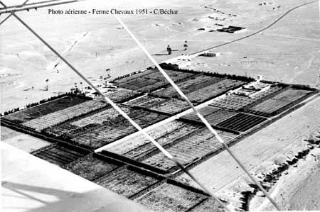 Vue aérienne de la ferme