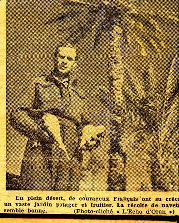 La culrure des navets